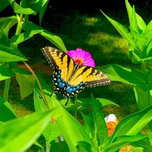 Meet your Posher, Haley-brooke